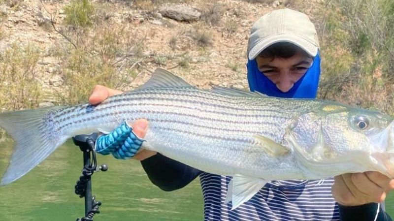 Arizona Fishing Trip - Bass Fishing 