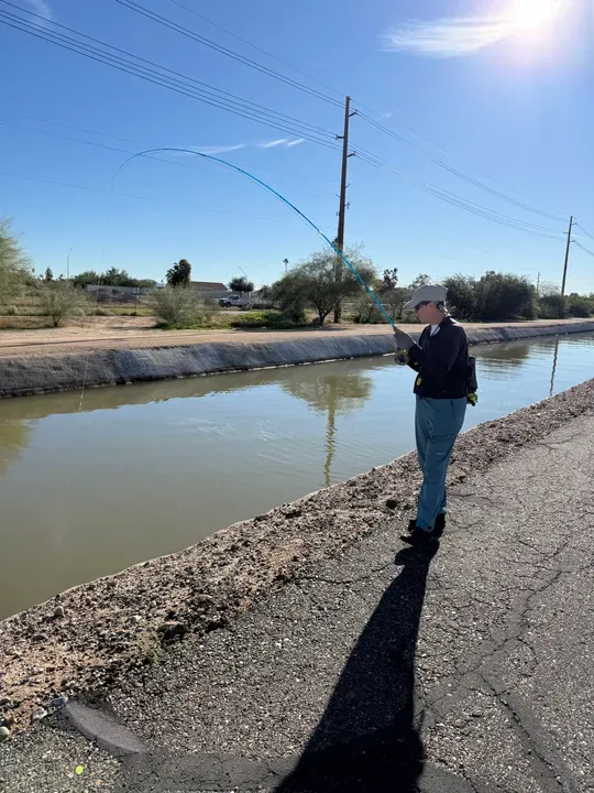 Best Time to Fish in Phoenix (Seasonal Guide)