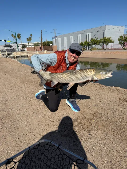 Best Fly Fishing in Phoenix, AZ: Complete Local Guide
