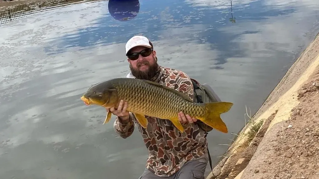 Top Family-Friendly Fishing Trips in Phoenix